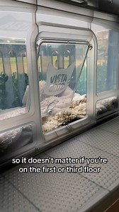 Window Mounted Cat Perch Stress-free sanctuary eases anxieties and depression for enhanced health. Easy to install and holds a great amount of weight. Grab Yours Here: https://amzn.to/3NWlsVc #catmomlife #dogmomlife #happycats #happydogs #PetFriendlyLiving #petfun #dogfun #catfun #CommissionEarned | Haley and David | Facebook