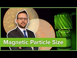 Why Magnetic Particle Size Doesn't Matter