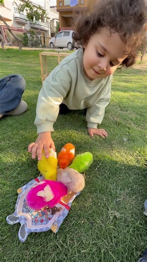 Cute Baby Colorful Chicks🐣😍 #colorfulchickens #baby #babychicks #chicks #cute