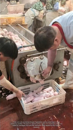 Why Meat Processing Plants Wash Every Cut Before Packaging #rurallife #livestocklife #farm