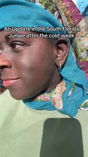 South Florida Jungle Update: Surviving Cold Temperatures