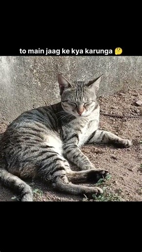 jab kismat hi soya hai to me jaag ke kya karunga 🤔 | doraemon| #ytshorts #dog #viralclip