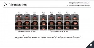 IJCAI 2021 可解释性论文 可解释性组分解构卷积神经网络