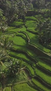 2.1K views · 5 comments | Travel isn’t magic. But it can bring you to magical places, open your heart to new cultures, and stimulate your mind with exciting discoveries ✨ Ready to take the plunge and book your dream trip?  https://bit.ly/3BK5muW | Exoticca | Facebook