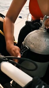 Where have you been diving lately? What did you encounter? Thanks @amitydivingclub (IG) for sharing your dive! | SSI