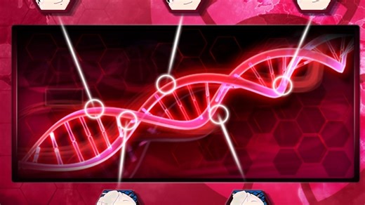 sensei想把哪个学生插入基因？