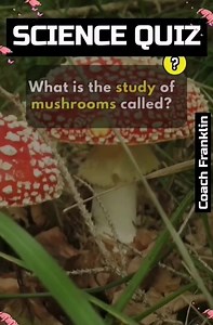 4.9K views · 68 reactions | SCIENCE GENERAL KNOWLEDGE QUIZ SCIENCE GENERAL EDUCATION QUIZ SCIENCE GENERAL INFORMATION QUIZ #GK #GENED #GI #SCIENCE #NOCOPYRIGHTINTENDED | Franklin - Online LET, CSE, IELTS & Celpip Private Tutorial | Facebook