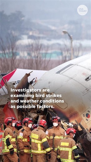 129K views · 1K reactions | Investigators are examining bird strikes and weather conditions as possible factors for the plane crash. | USA TODAY | Facebook