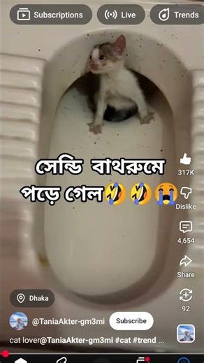 আমার স্যান্ডি বাথরুমে পড়ে গেল 😭😭🤣🤣 #viral #love #viral #shortvideo #funnypictures #funny