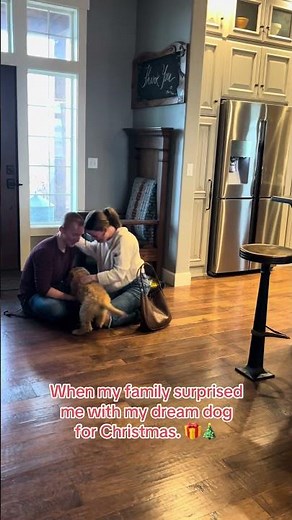 Woman Gets Puppy as Surprise Christmas Gift From Family - 1541801