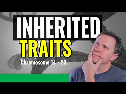 Genetics Explains: What Traits Are On Your 23 Chromosome Pairs? Chromosome 14-23