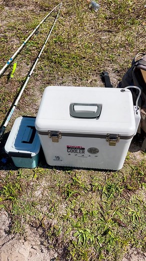Super fun day of doing a little brackish water fishing and going after Tarpon and snook. For anyone interested my UFF long sleeve hoodie Fishing tee and hat are now available the link is in my bio! #urbanfloridafishing #bassfishing #fishingvideos #saltwaterfishing #brackishwaterfishing #southfloridafishing #snookfishing #bankfishing #tarponfishing