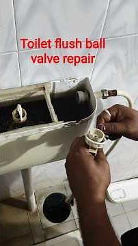 Toilet flush ball valve repair #shortsfeed