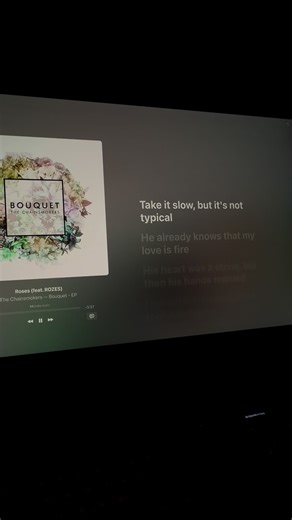 Roses (feat. ROZES) - The Chainsmokers #roses #chainsmokers #music #lyrics_songs #macbook