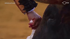Matador wipes tears off of wounded bull's face before killing it