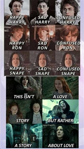 Harry potter face chart, then the truth about Snape. #harrypotter #snape #funnymemes