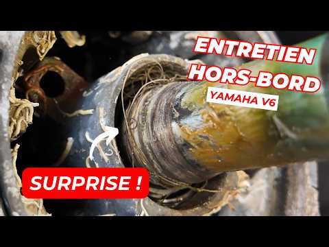 Outboard Motor Maintenance: We weren't expecting these surprises!