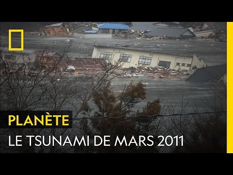Ce tsunami de 40 mètres de haut a ravagé le Japon en 2011 | AU CŒUR DU DÉSASTRE
