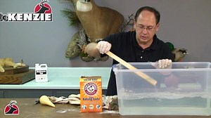 MV103 Tanning Part 3: Shaving the Hide and Neutralization