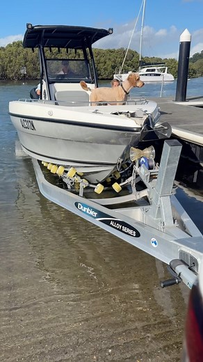 Good Times Marine on Instagram: "It’s so easy with a Dunbier Super Roller trailer #dunbiertrailers #easyload #straightup #hainessignature #788sf"