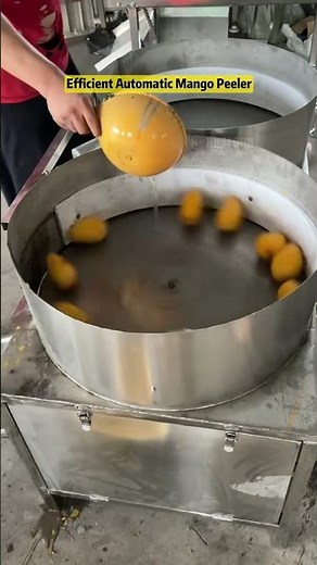Efficient Automatic Mango Peeler/Mango Peeling machine #foodprocessing #mango #peelingmachine