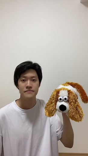 Animating a Plush Toy Dog: A Fun DIY Guide