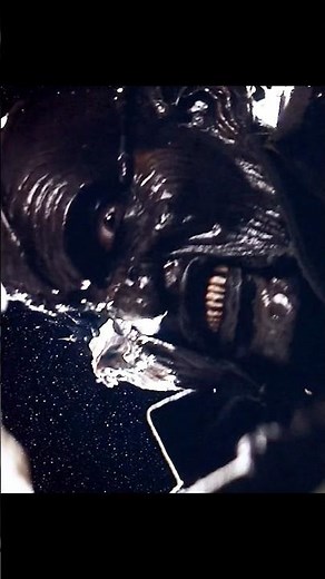 🌌 "HALF A HEAD!" –Jeepers Creepers 2’s Brutal Bus Attack 💀🚌🔥