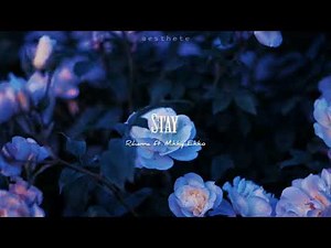 rihanna - stay ft. mikky ekko (slowed)