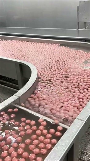 Meatball forming machine. I am a manufacturer only. WhatsApp +86 18595772661 #food #machine #产品经理