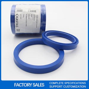 [Hot Item] Kastas Hydraulic Piston Rod Seal K21 K33 K49 K704 K53 Ssp K18 Kdas Oil Seal K153 Low Pressure Chevron Seal