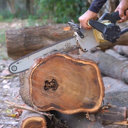 Turn log into most amazing woodworking projects | Woodworking Tools TV