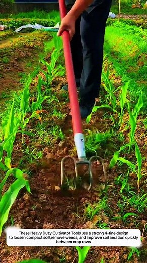 Heavy Duty Cultivator Tools Loosen Hard Soil Fast with 4-Tine Manual Garden Weeder Design