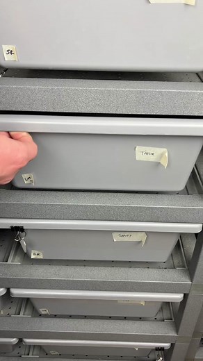 Our Python laid 7 eggs! 🐍🥚 #ballpython #snake #reptile #fyp