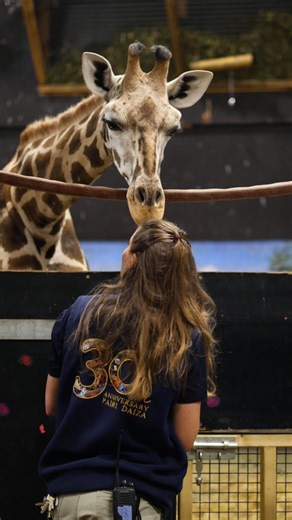 354K views · 11K reactions | Juul attend un petit… et elle est suivie...