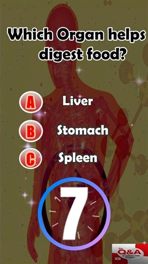 General Knowledge shorts| Q&A shorts|#quizchallenge#quizgames