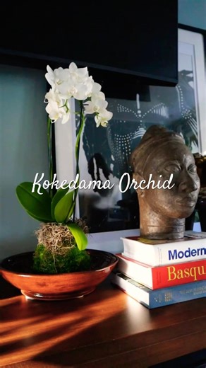 DIY Kokedama Orchid | Beginner Friendly | Moss Ball Tutorial