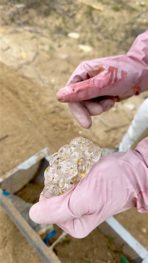 Shocking Beach Clean-Up Discoveries! Toy Fidget, Tons of Trash & Mystery Items. ASMR