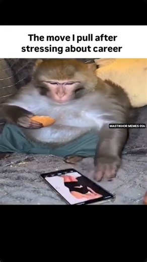 Slow it down | #memes #funny