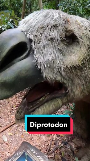 #megafauna #wombat #pet #diprotodon #adorable | wombat