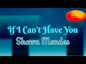 Shawn Mendes - If I Can't Have You (lyric video)