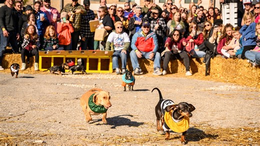 16th annual GermanFest returning to Indianapolis in October; Here's everything you need to know