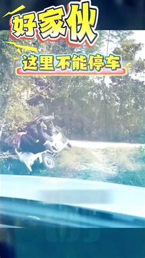 好啦~这下路是通了，但问题从右边去到了左边