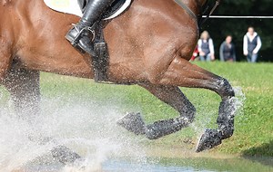 11 competitions and training sessions you need to check out this week - Horse & Hound