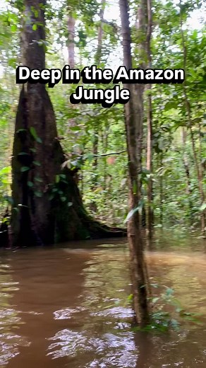 Would you dare to walk here… alone? #travel #amazonas #jungle | Into Holidays