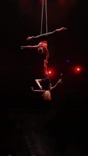 Super Aerial Duo Tricks ! ⭐️ #circus #top #aerial #combination #tricks