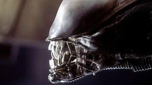 Ridley Scott már látta az új Alien-filmet és el is mondta róla kendőzetlen véleményét, amelyre a rendező szó szerint remegve várt