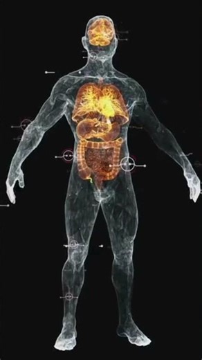 মানব দেহের ৩টি অজানা রহস্য | Human Body Facts Bangla | Fact Wave Bangla