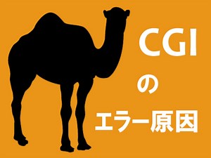 2/2 レンタルサーバ上でのCGIエラー解消方法 [Perl] All About