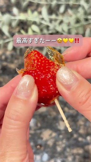 【失敗続出⚠️】“失敗しない”はずのレンジいちご飴…3回目でやっと成功したらパリッジュワッが神すぎた