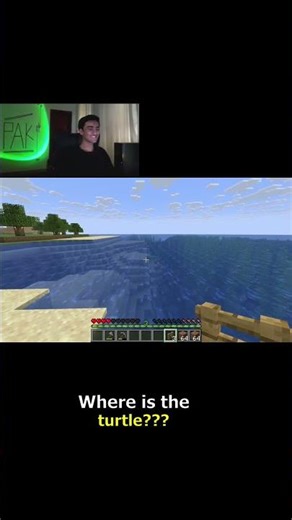 Where is the turtle??? | Minecraft #minecraft #minecraftTurtle #minecraftshorts #gaming